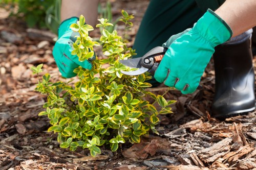 Updated cookie policy page for Tree Surgeons Palmersgreen